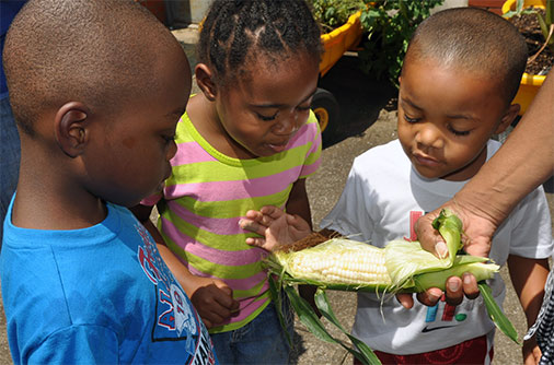 CDC children learn about gardening