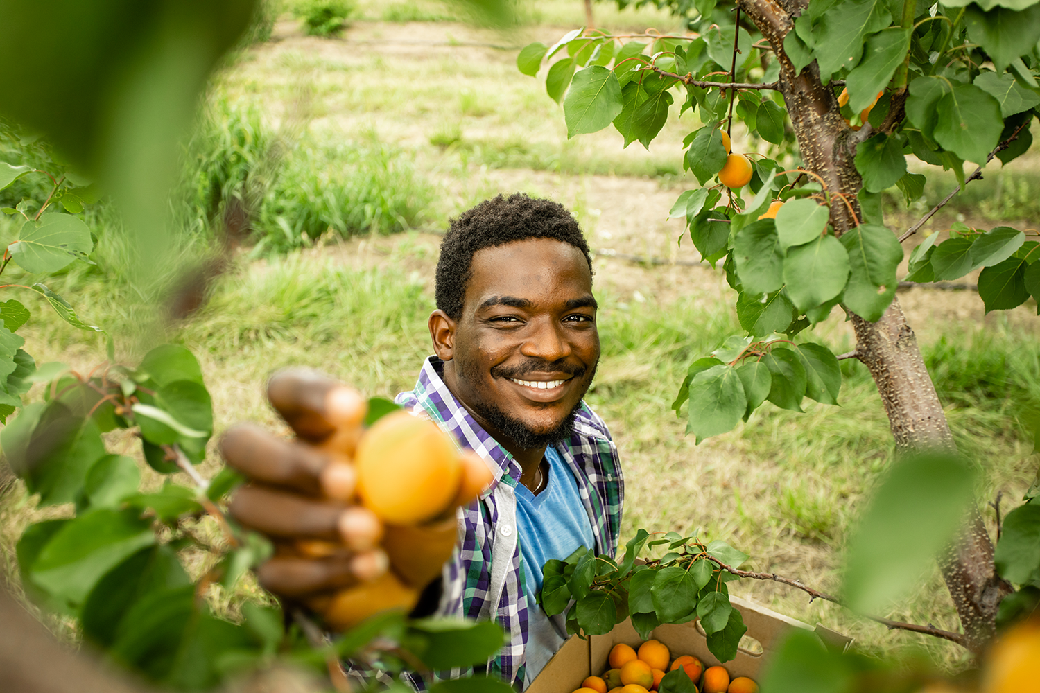 AAMU Farm