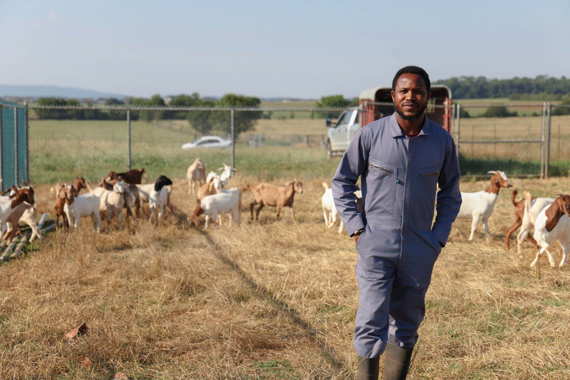 Feliz Samuel stands in front of 17 goats at the AAMU Agricultural Research Station