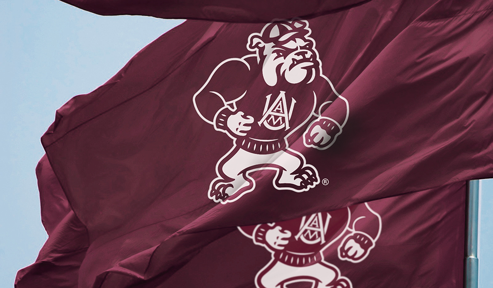 Alabama A&M University's updated version of standing "Butch" logo