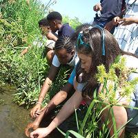 A 4-H group is outdoors sample water from a local stream to test.