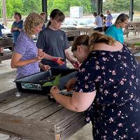 A group of people gathers around a table at a farmers market participating in an Extension propagation lesson.