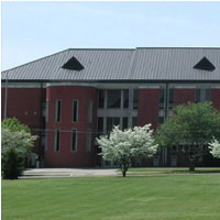 Patton Building and trees