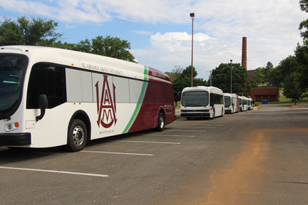 buses