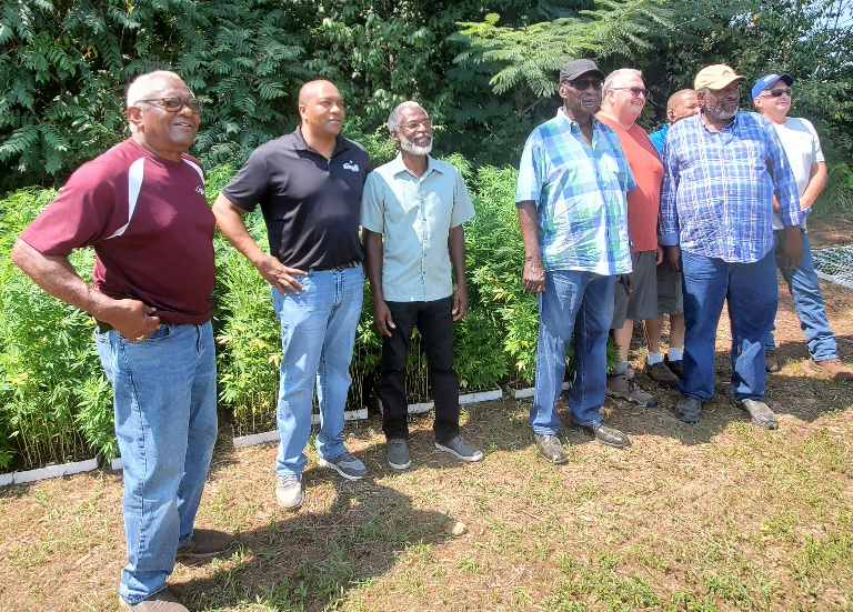 Farmers, cannabis