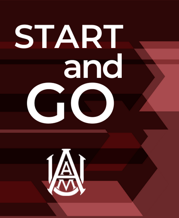 Start and Go Logo
