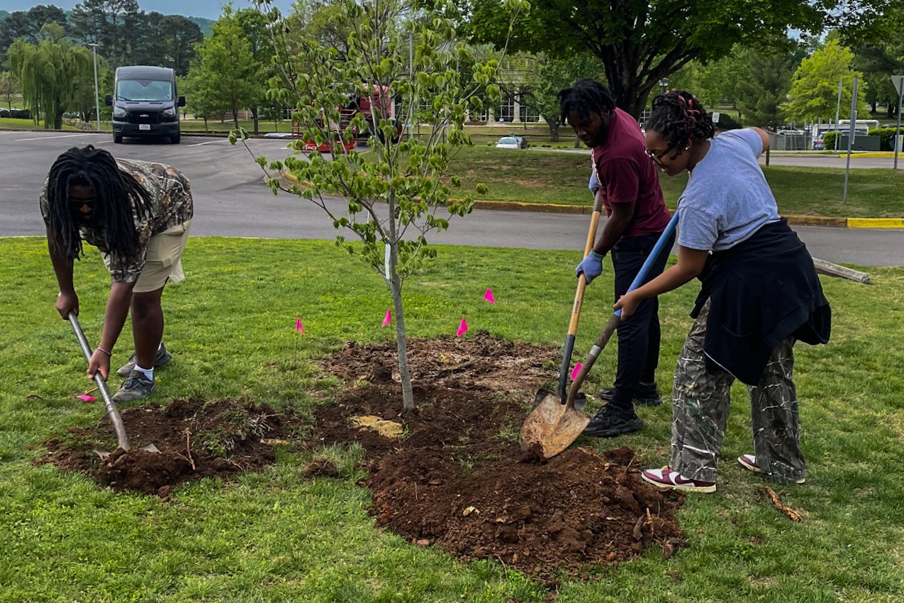 AAMU students planting a tree on campus