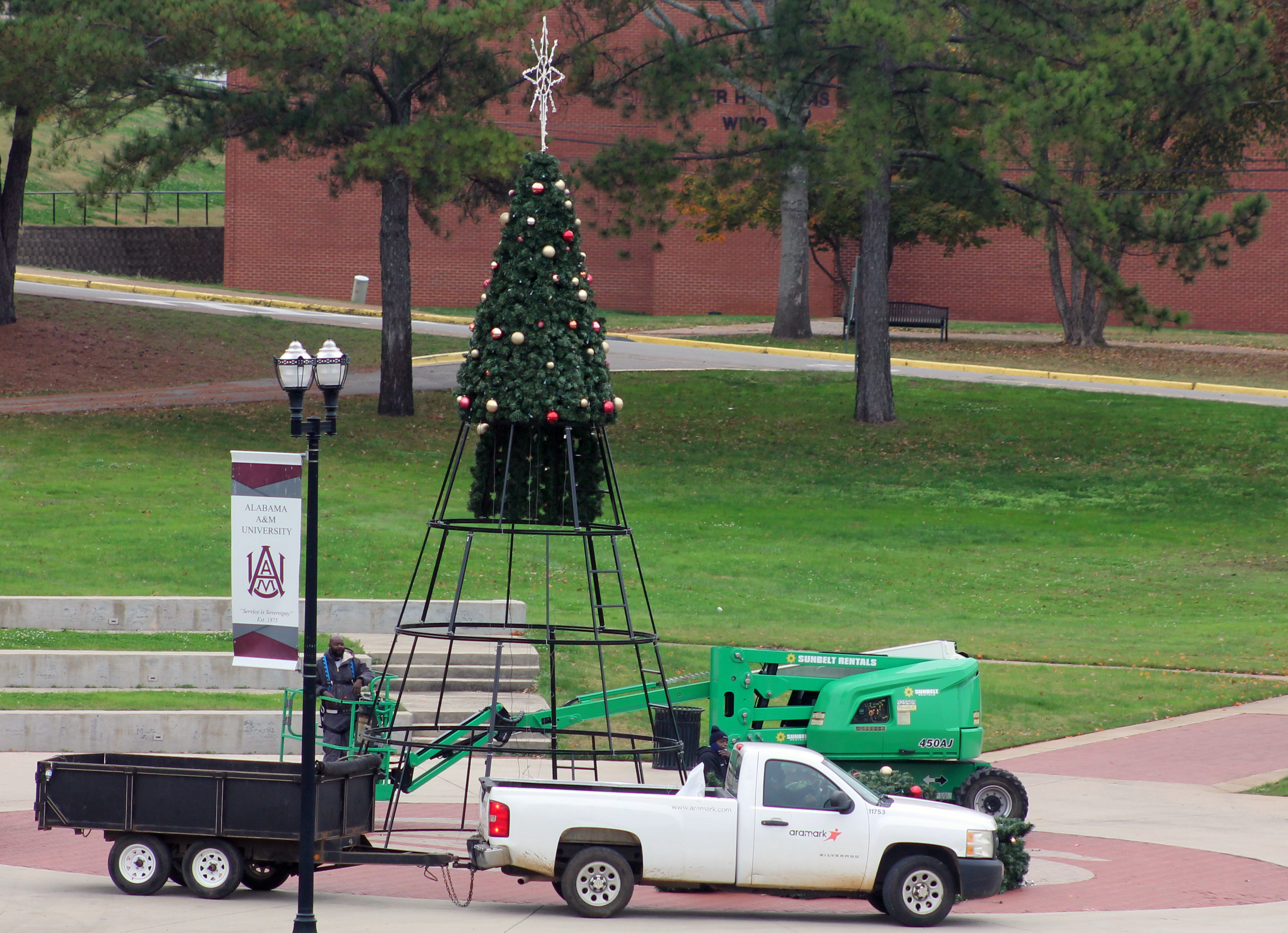 Setting up Christmas Tree