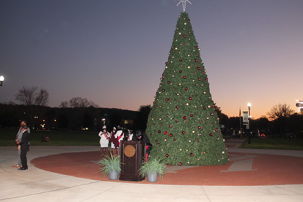 tree lighting 2