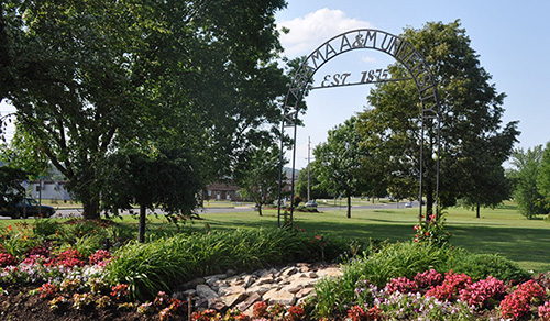 Campus green space during spring