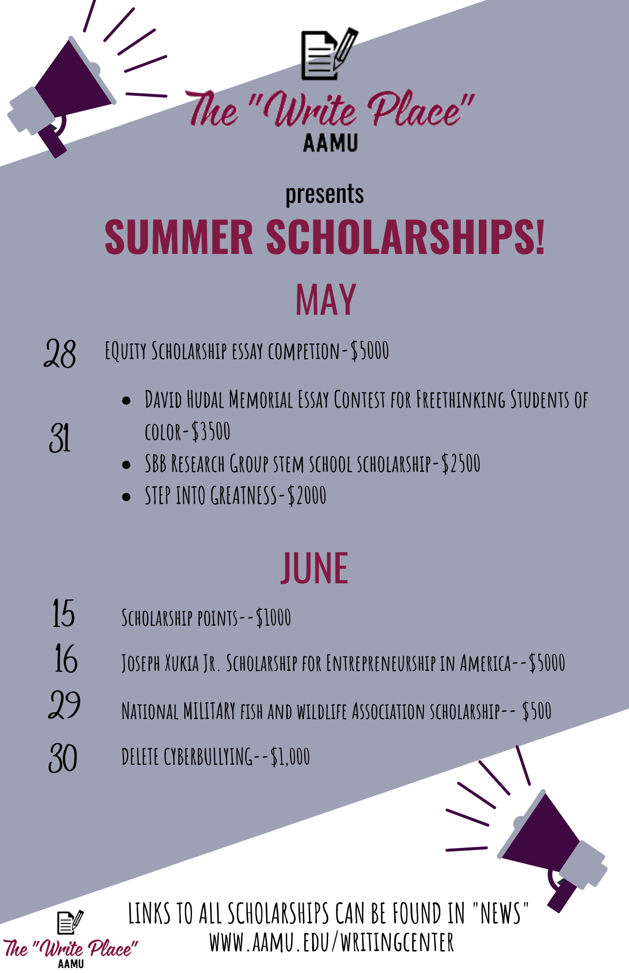 Summer Scholarship Flyer
