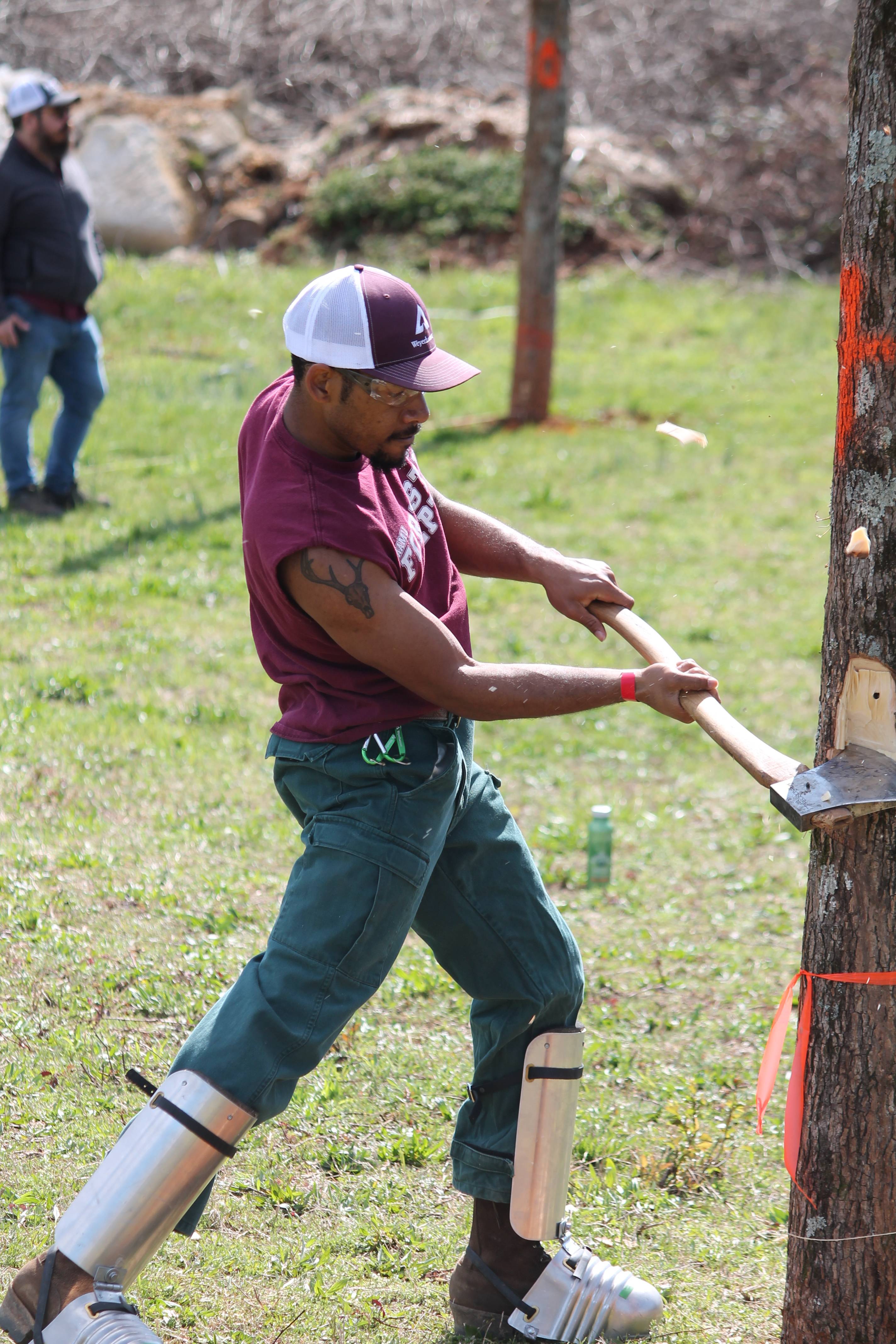 Student chopping down tree