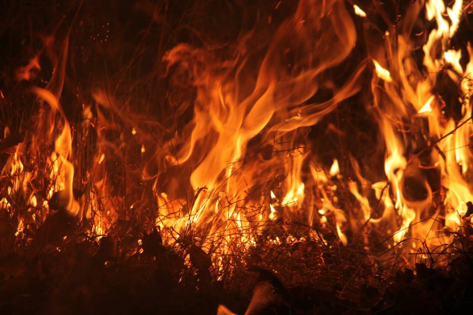 fire