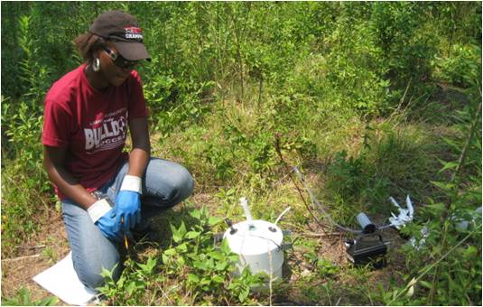 A student conducts field research for the CFEA