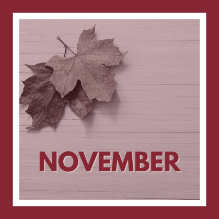 November Newsletter Link
