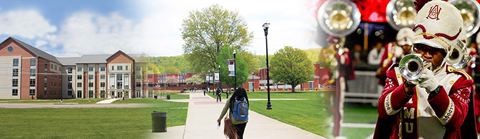 Collage of AAMU Campus